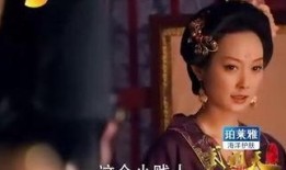 清朝禁宫秘史在线观看,清朝宫廷秘闻在线大揭秘