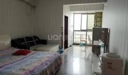 成都租房爆料最新消息网