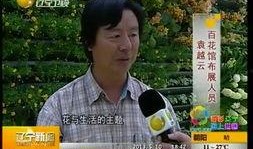 辽宁卫视新闻爆料,重大新闻事件背后真相揭晓