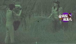 小羊出轨爆料视频大全,真相与争议并存