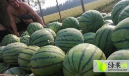 汾阳吃瓜最新事件爆料