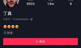 真料爆料博主是谁呀视频,揭秘背后神秘人物