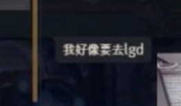 黄哥爆料暴雪视频大全下载,暴雪视频大全下载攻略全解析