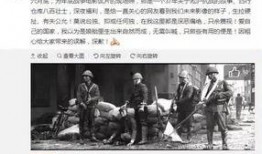 贵州八卦爆料事件始末视频,真相揭秘与网络舆论风暴