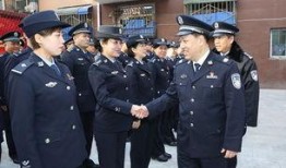 公安厅长全集在线观看,揭秘警界风云，正义与邪恶的较量