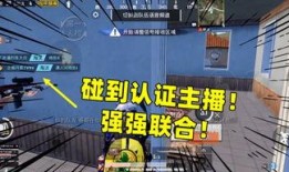 陈大白游戏爆料视频,揭秘幕后精彩瞬间