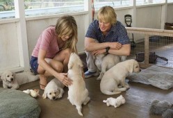 大狗狗影视在线观看,畅享海量影视资源，尽在大狗狗影视平台