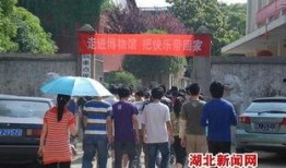 浠水二小爆料新闻报道,校园新闻背后的故事