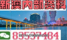 澳门论坛爆料最新一期,揭秘热点话题与深度解读