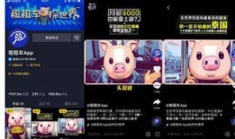 广州新闻爆料小鹿视频,小鹿视频独家爆料，揭秘背后故事