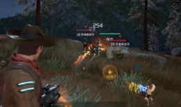 流浪者武器爆料视频播放,神秘视频揭示未来战争利器