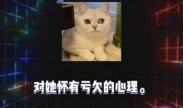 娱乐八卦爆料吃瓜文档,吃瓜群众必备的八卦秘籍