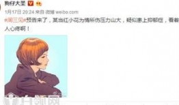 小花爆料的是谁的视频,揭秘神秘视频背后的真相