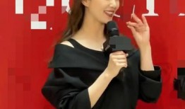 娱乐圈爆料小黑子是谁,真相背后引热议