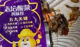 老坛酸菜最新爆料视频,最新爆料视频揭露惊人内幕