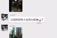 信阳爆料视频,真实事件引发网友热议