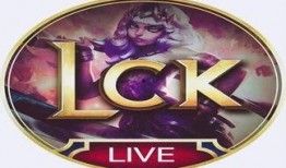 英雄联盟转会最新爆料,神秘战队引关注，顶级选手动向揭秘