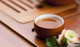 糟茶爆料最新视频大全,最新视频大全精彩回顾