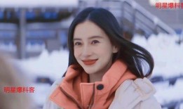 娱乐圈杨颖爆料是真的吗,娱乐圈杨颖爆料真实性揭秘