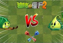火鸡投手爆料视频下载安装,揭秘幕后真相