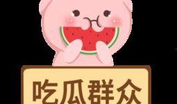 综艺吃瓜素材下载网站免费,免费素材网站带你畅享娱乐盛宴