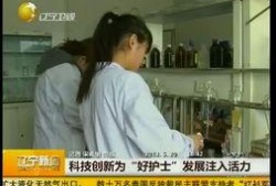 辽宁卫视新闻爆料,重大新闻事件背后真相揭晓