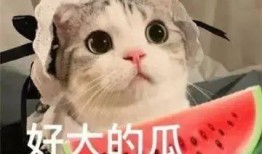 网红吃瓜是什么套路,揭秘网络热点背后的真相