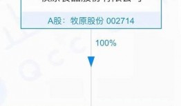 牧原最新爆料信息大全,揭秘公司动态与行业趋势
