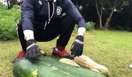 郯城大瓜爆料视频,一场引人入胜的真相大曝光