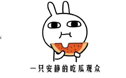 等着吃瓜是什么意思,揭秘网络热词背后的娱乐文化现象